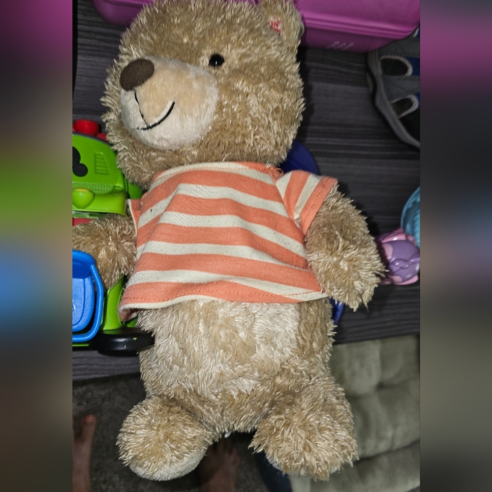 Cooper Bear Interactive Story Book Buddy